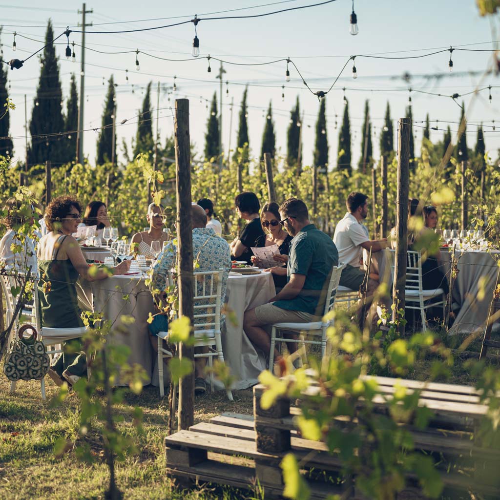 Cena in vigna