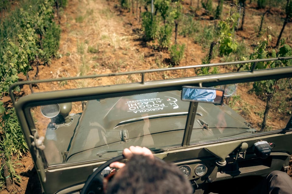 Wine safari tra i vigneti