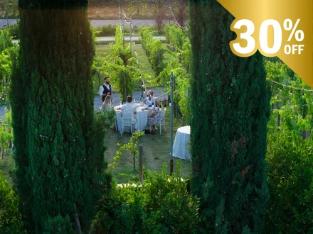 CENA NEL VIGNETO TOSCANO CON DEGUSTAZIONE DI VINI