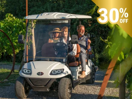 CLASSIC: TOUR IN GOLF CART NEL VIGNETO TOSCANO CON DEGUSTAZIONE DI VINI E PRANZO