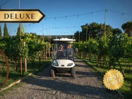 DELUXE: ESSENTIAL TOUR IN GOLF CART CON DEGUSTAZIONE DI VINI