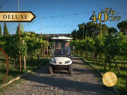 DELUXE: ESSENTIAL GOLF CART TOUR & WINE TASTING