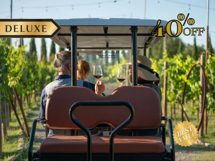 DELUXE: GRAND GOLF CART TOUR & WINE TASTING