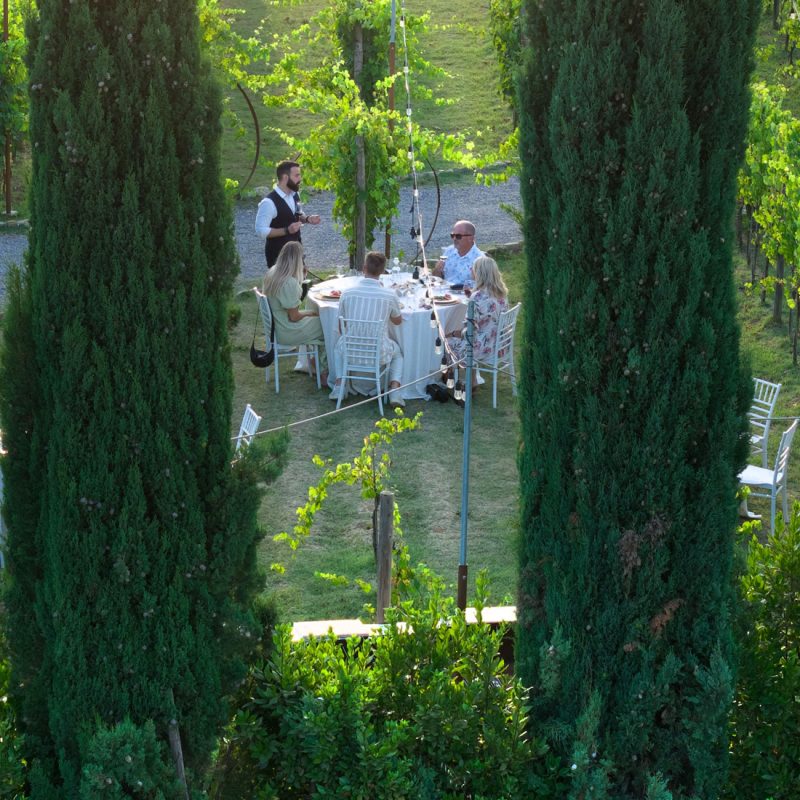 DINNER AMONG THE VINES: INTIMATE LUXURY AT SUNSET