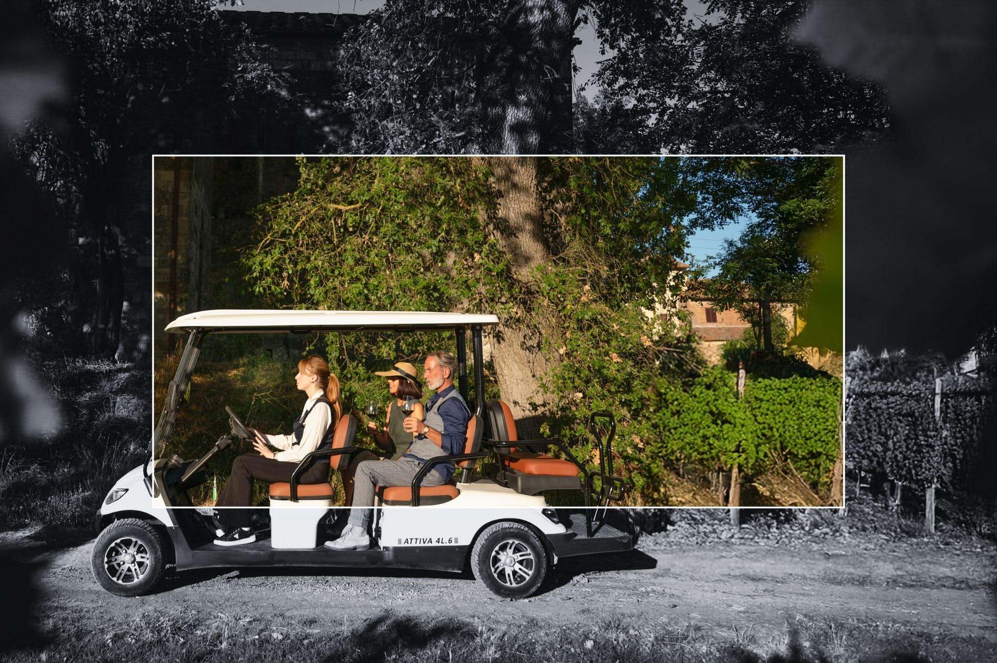 LUXURY GOLF CART EXPERIENCE THROUGH VINEYARDS AND LAKE