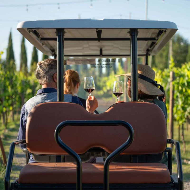 LUXURY GOLF CART EXPERIENCE THROUGH VINEYARDS AND LAKE