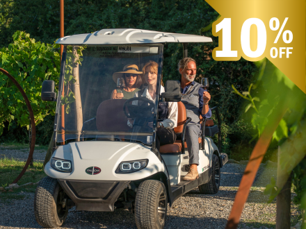 CLASSIC: TOUR IN GOLF CART NEL VIGNETO TOSCANO CON DEGUSTAZIONE DI VINI E PRANZO