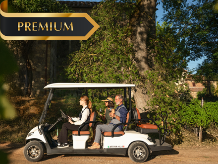 ESPERIENZA IN GOLF CART DI LUSSO TRA VIGNETI E LAGO POGGIO AI LAGHI